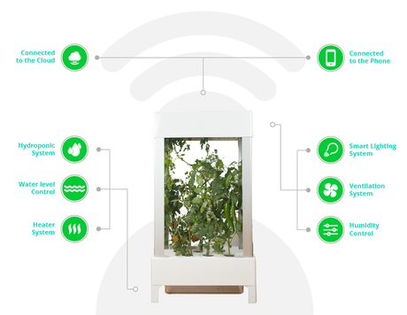niwa 03 Niwa, une agriculture urbaine et high tech.