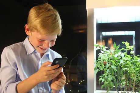 niwa 02 Niwa, une agriculture urbaine et high tech.