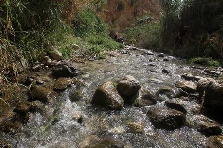 La source de Ein Fara dans la réserve naturelle de Nahal Prat du désert de Judée en Cisjordanie, le 19 avril 2014