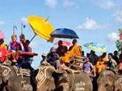 Parade d’ordination moines d’éléphants Surin