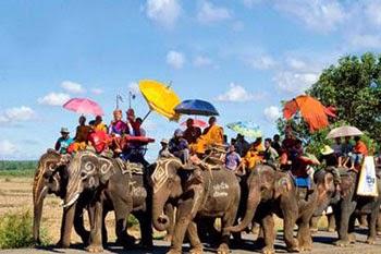 Parade d’ordination de moines à dos d’éléphants à Surin