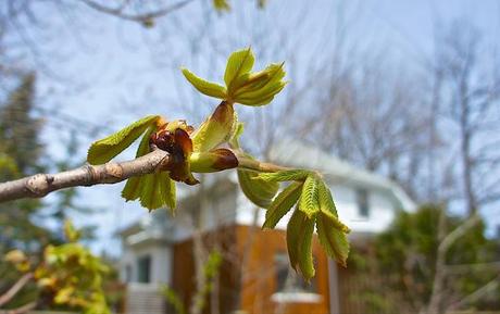 anteketborka.blogspot.com,   first 10