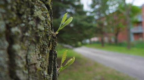 anteketborka.blogspot.com,   first 2