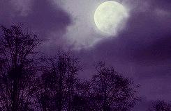 #TFSA Personnages secondaires préférés