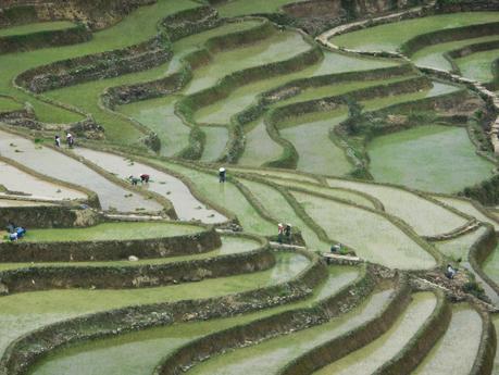 Au sud des nuages, le Yunnan