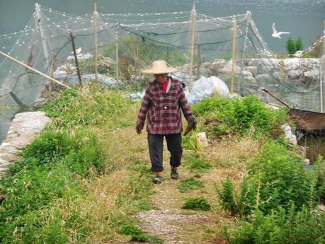 Au sud des nuages, le Yunnan