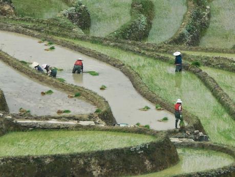 Au sud des nuages, le Yunnan