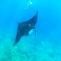 Bali en GoPro avec Vagabones