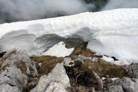 Les sabots de Sous-Dîne