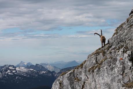 Les sabots de Sous-Dîne