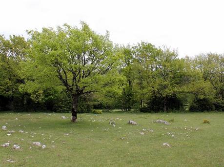 Tour du plateau d'Hostiaz