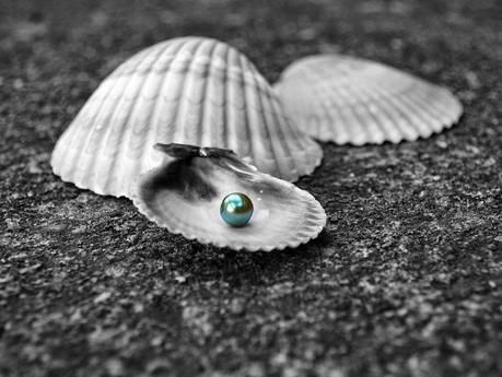 Le vrai coût de la sagesse