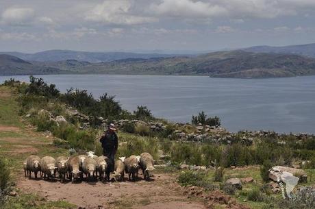 voyage perou lac titicaca