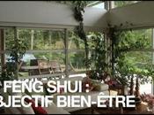 Conseils Françoise Intégrer Feng Shui dans votre Maison (Vidéo Audio)