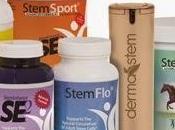 leader mondial Stemtech s’implante Alsace