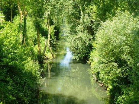 Un dimanche à Bouvines