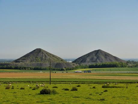 Sur la Chaussée Brunehaut