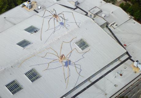 Daddy-Long-Legs-spider-in-Seattle-USA-Street-Art-mogwaii