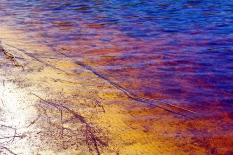 Ballade en couleurs à Poona Lake
