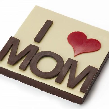 Fête des mères 2014 Vincent Guerlais