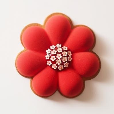 Fête des mères 2014 Arnaud Larher