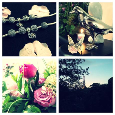  photo photo3_zpsd5ffd04c.jpg