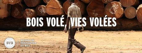 Bois volé - vies volées Bois volé - vies volées