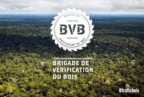 Bois volé - vies volées