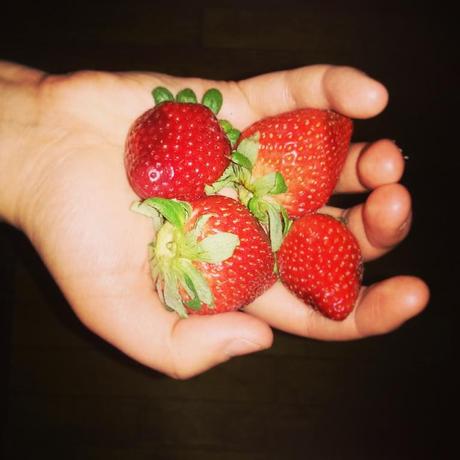 portion fruit fraises