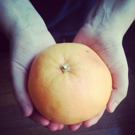 portion de fruit demi pamplemousse