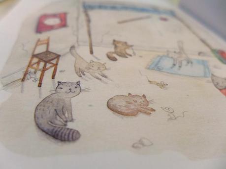 Python, chatons et compagnie