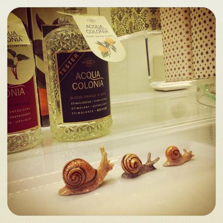 UNE DÉLICATE FANTAISIE OU LES BIJOUX DE SOPHIE...PAR HAYLEY