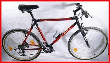 Le Giant Stonebraker 