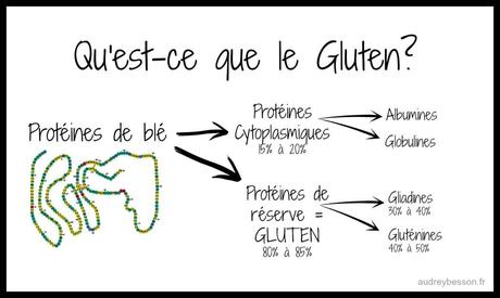 gluten-structure-composition