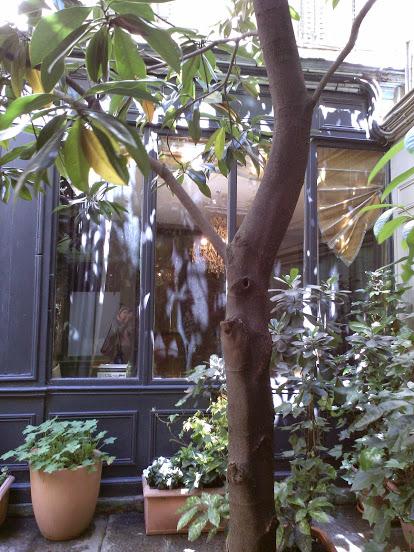 Réparation de parapluies…!