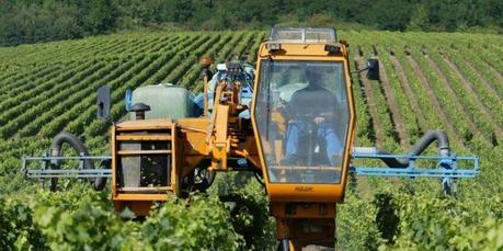 Viticulture : Royal et le recul des épandages