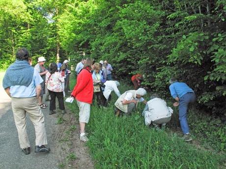 La Société Botanique de France en Lorraine