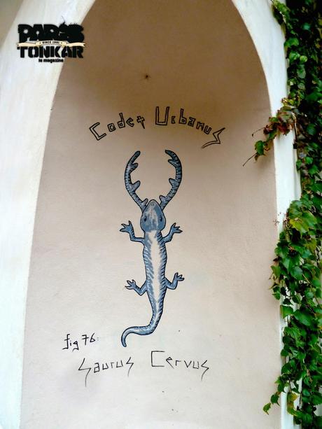 Des animaux dans les rues de nos villes !