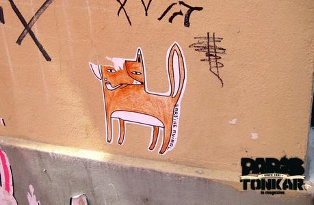 Des animaux dans les rues de nos villes !