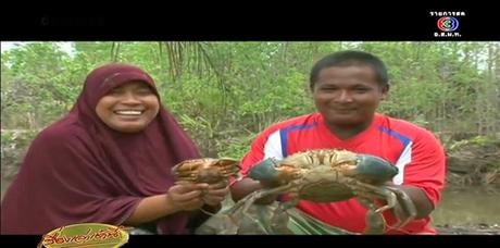 Thaïlande-Krabi: Des crabes de 60 cms ! [HD]
