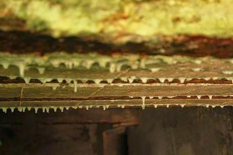 En forêt de Gobessart (Hôpital allemand)