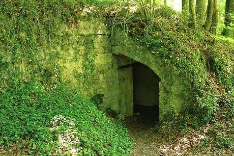 En forêt de Gobessart (Hôpital allemand)