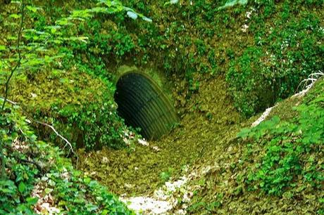 En forêt de Gobessart (Hôpital allemand)