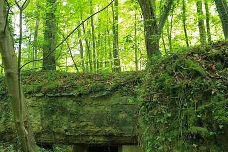 En forêt de Gobessart (Hôpital allemand)