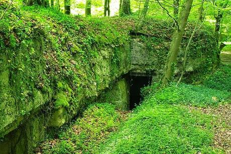 En forêt de Gobessart (Hôpital allemand)