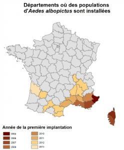 VIRUS ZIKA: La nouvelle menace du moustique tigre, en France aussi – IRD