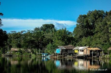 Habitation de ribeirinhos le long du fleuve Pracupi, Para, Brésil