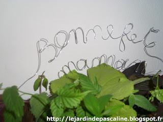 Commérages sur le jardin