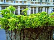 retour l’école…!