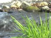 agriculture quelles solutions pour futur